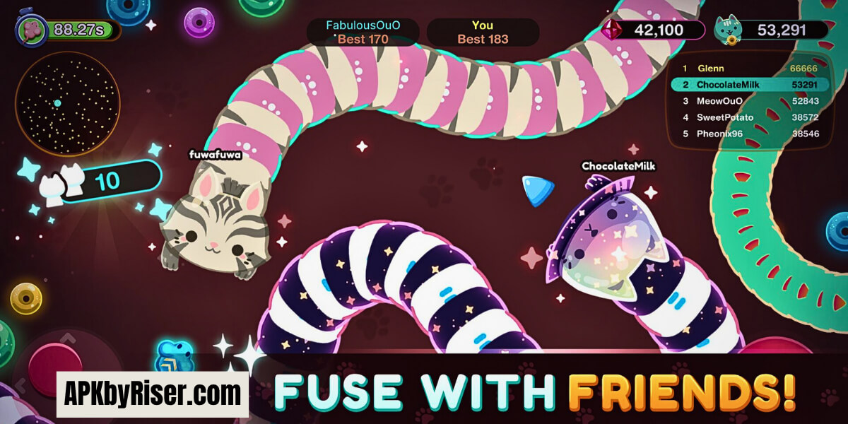 Snaky Cat Play with Friends