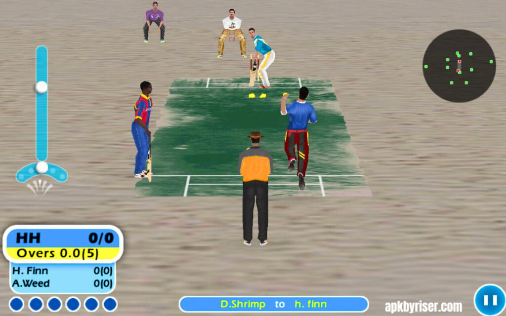 Balling view in match - Dream Cricket APK