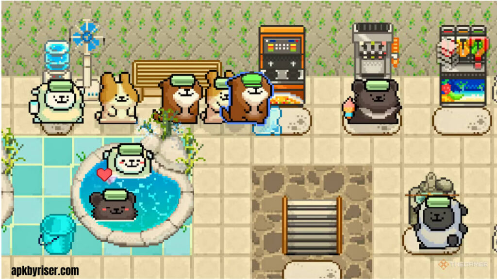 Many services set in a lounge - Animal Spa Unlocked APK